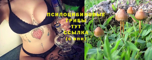 mdpv Алексеевка